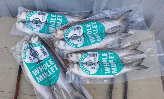 Mullet, Whole (silver), 2pk
