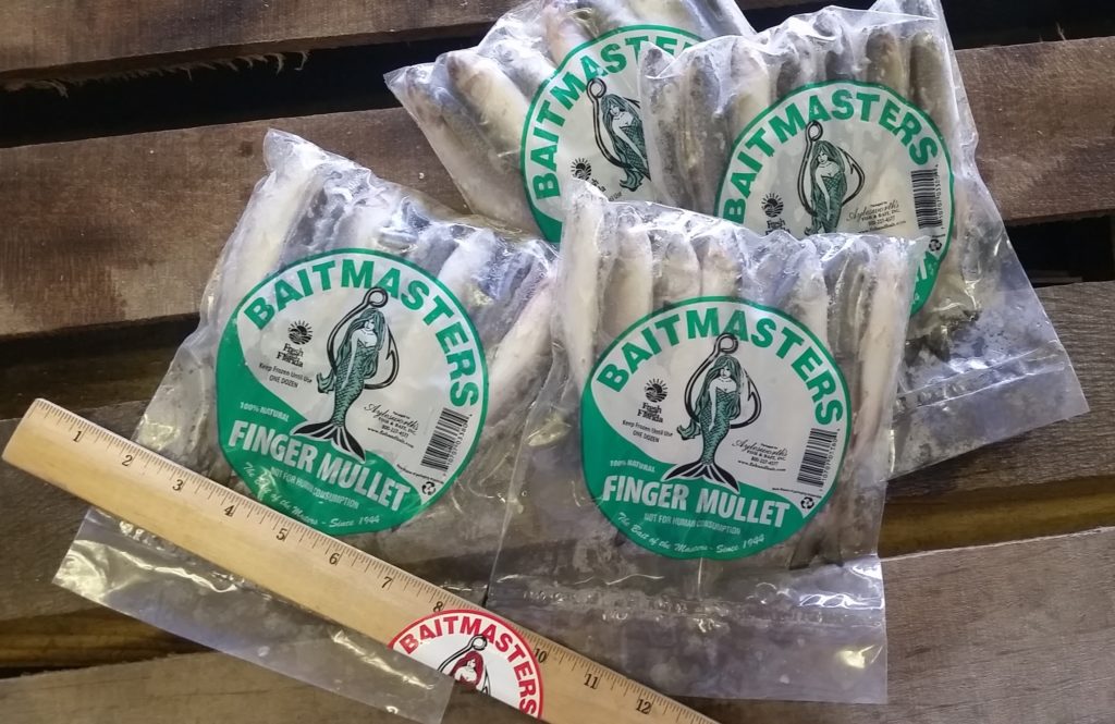 Mullet, Finger, Frozen