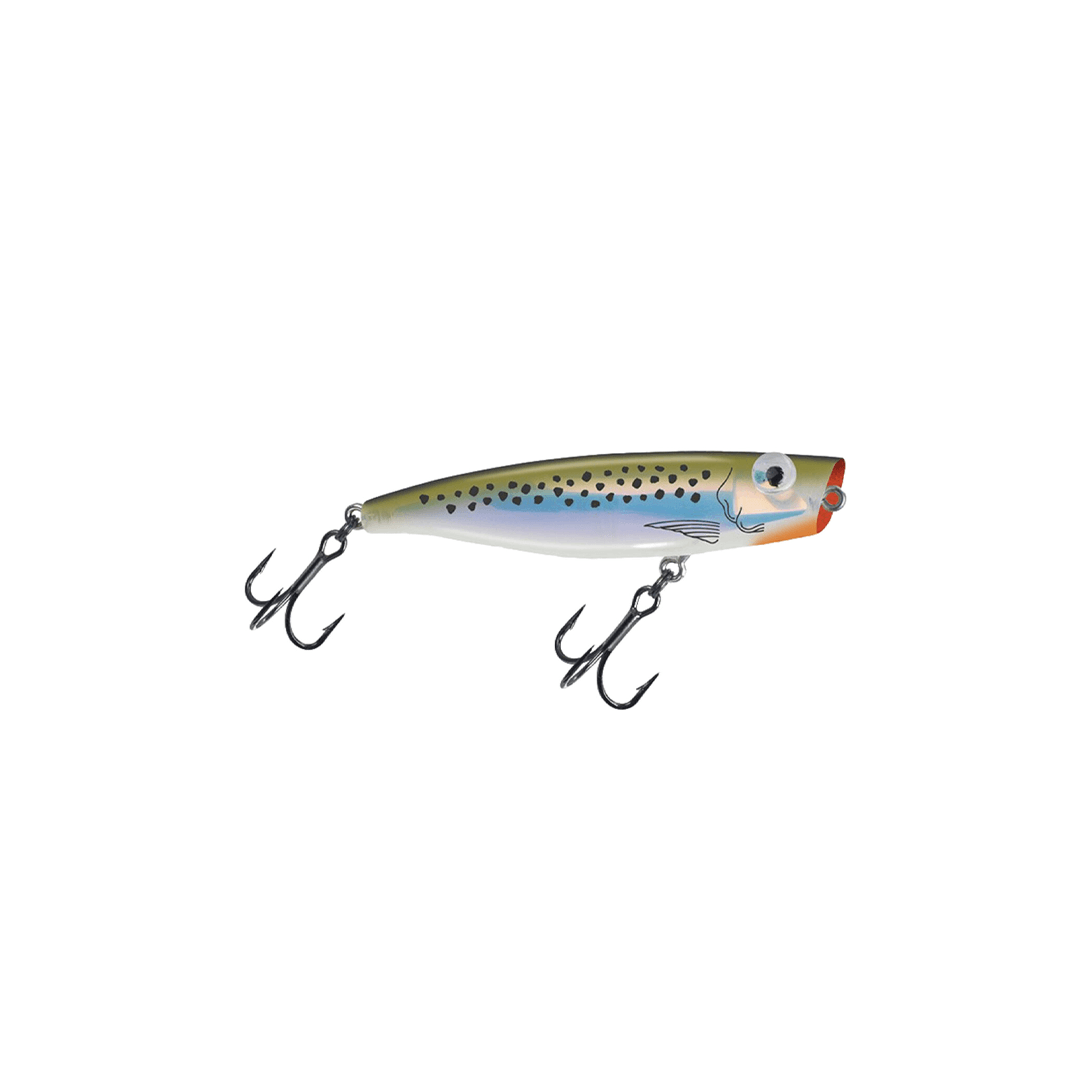C-Eye Series Poppa Mullet C36