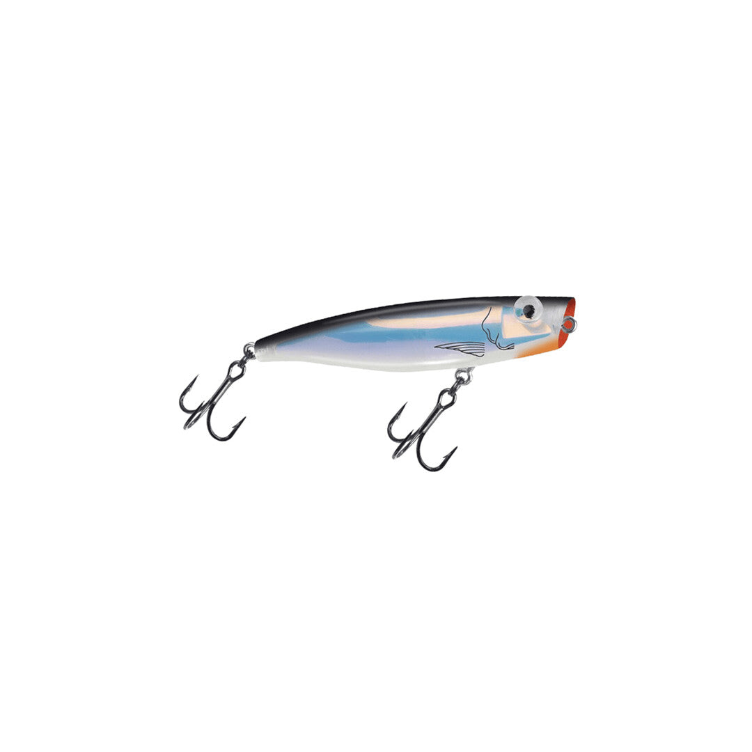 C-Eye Series Poppa Mullet C36