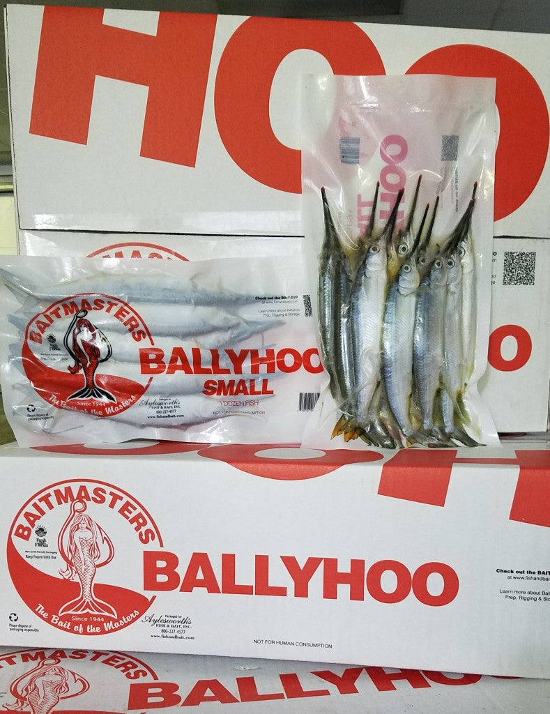 Ballyhoo, small, frozen