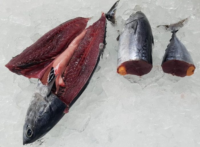 Bonita, whole, 2-4 lbs avg, frozen