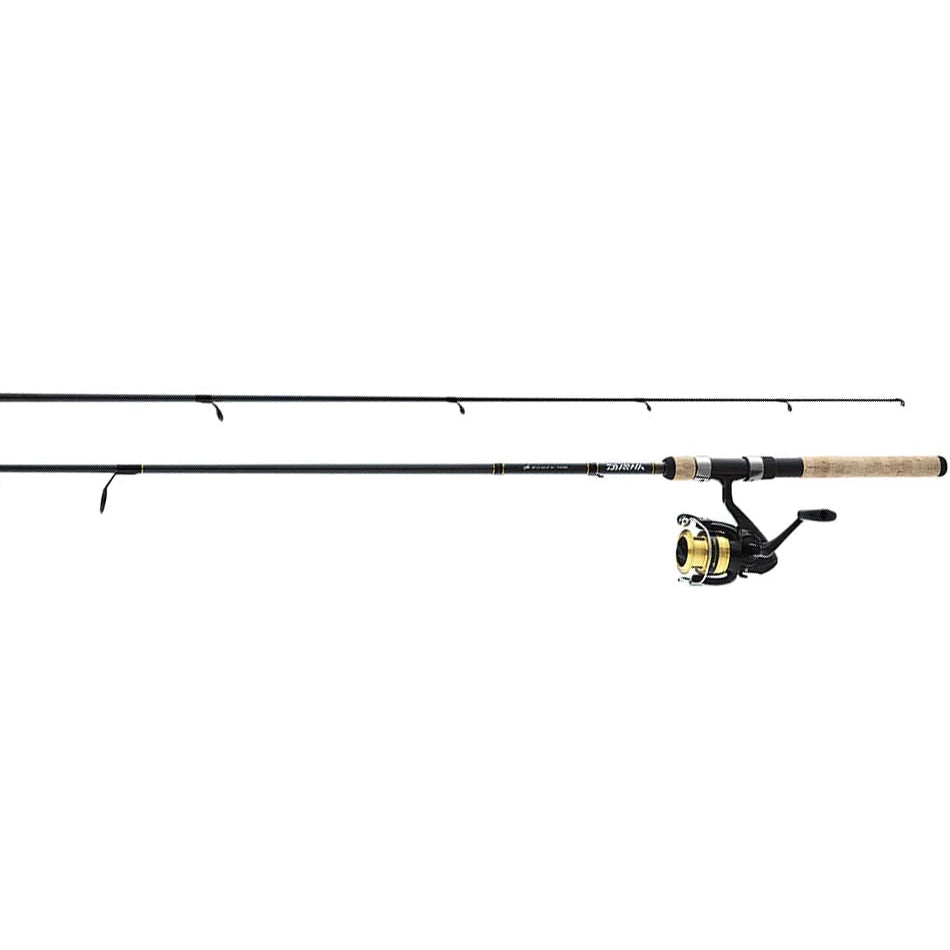Daiwa D-Shock spinning Combo