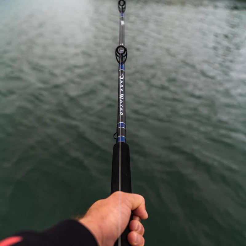 Daiwa Dark Water Conventional KF Rod