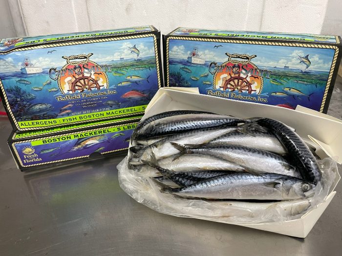 Capt Salty - Boston Mackerel, 5 lb box, Frozen