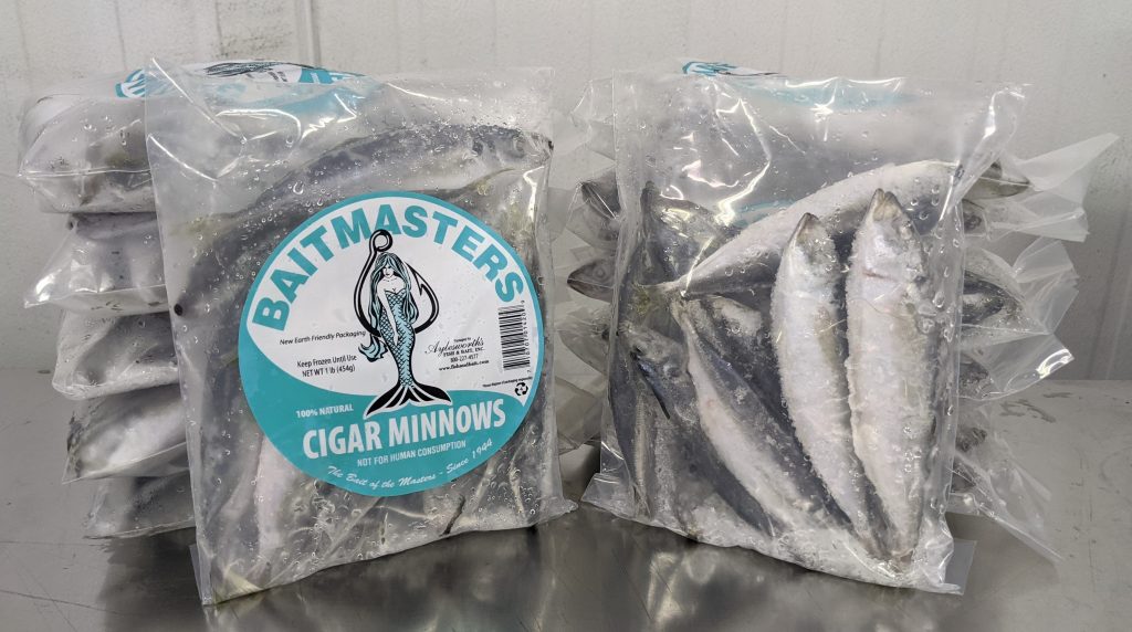 Cigar Minnow, local, 1 lb bag, Frozen