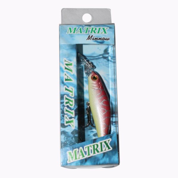 Matrix Minnow